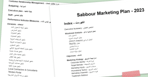 بناء خطة تسويق استراتيجية